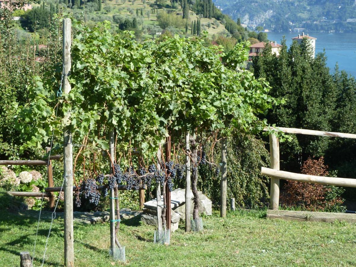 Вілла Bellagio Il Crotto Екстер'єр фото