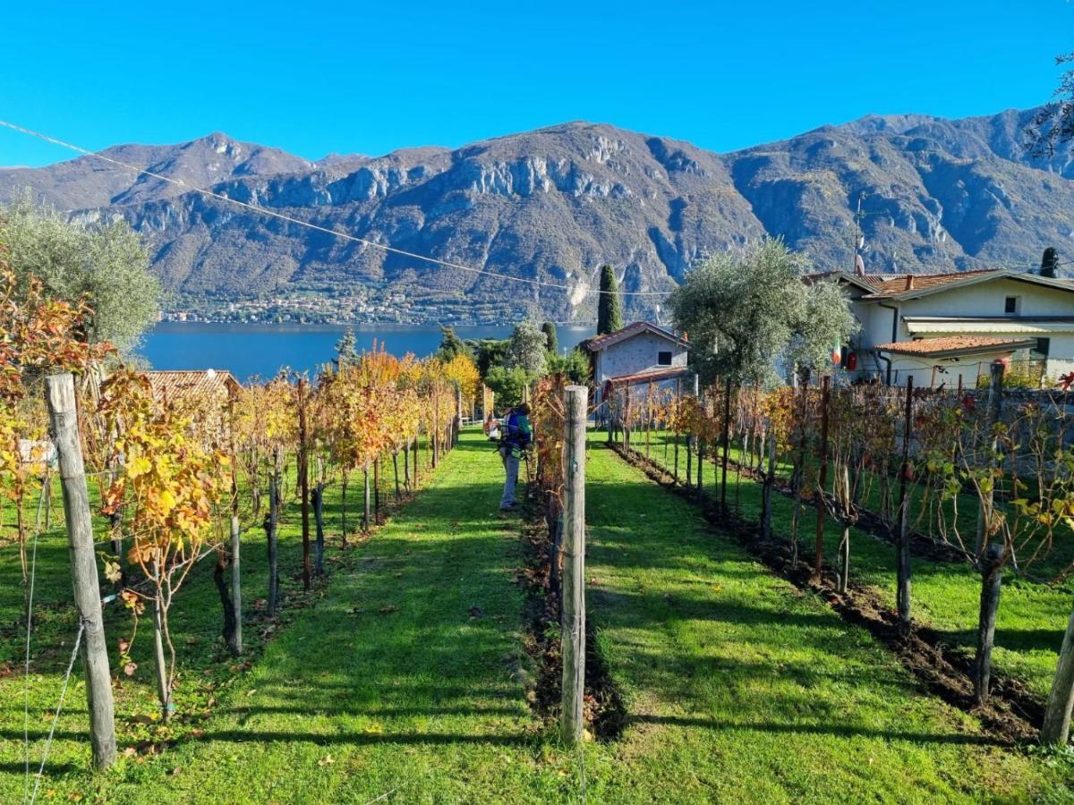 Вілла Bellagio Il Crotto Екстер'єр фото