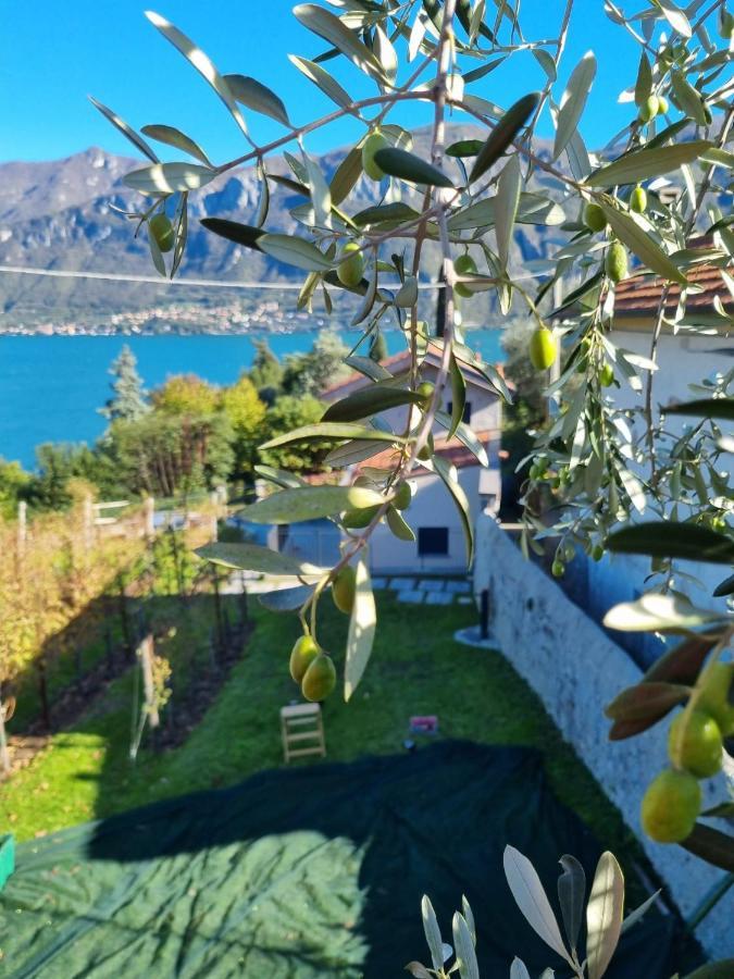 Вілла Bellagio Il Crotto Екстер'єр фото